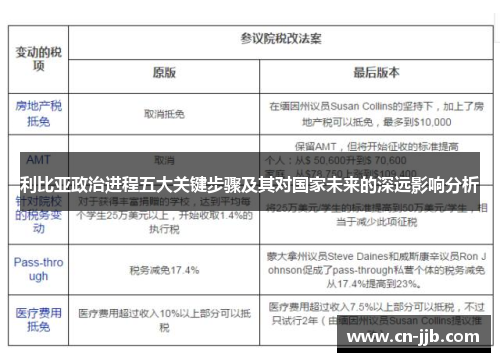 利比亚政治进程五大关键步骤及其对国家未来的深远影响分析